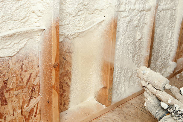 Best Spray Foam Insulation  in Mount Vernon, OH